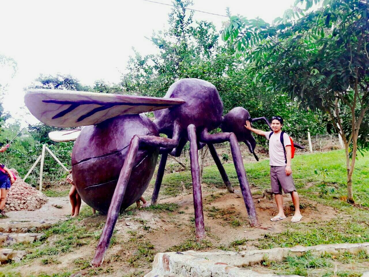 Tour Alto Mayo