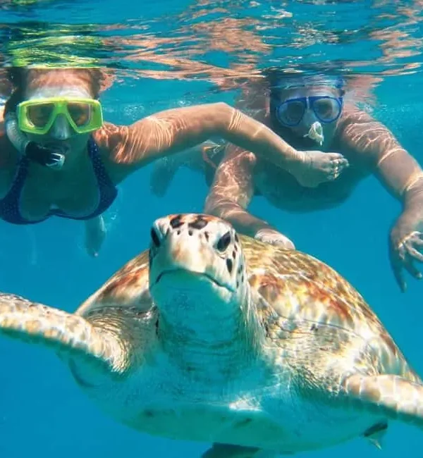 Nado con tortugas en Máncora