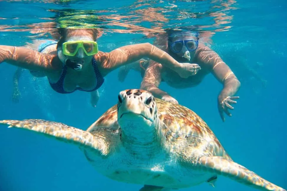 Nado con tortugas en Máncora